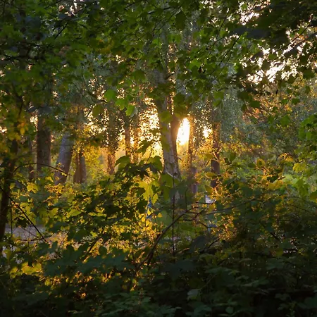Wohnen Am Suedstrand - 0 2 Wyk auf Föhr